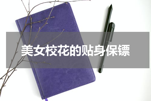 美女校花的贴身保镖