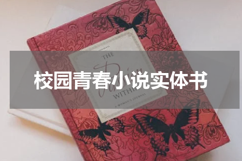 校园青春小说实体书