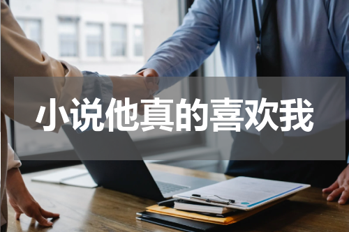 小说他真的喜欢我