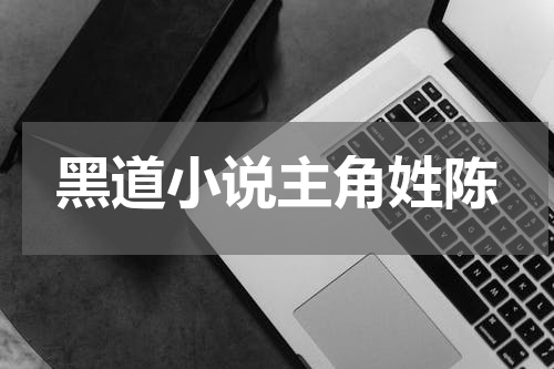 黑道小说主角姓陈
