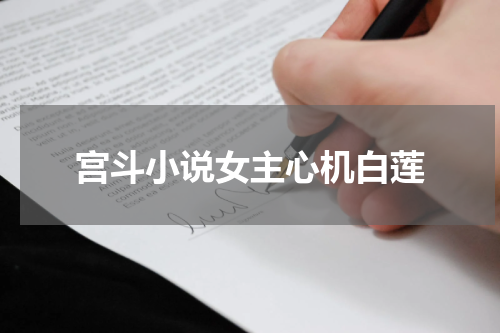 宫斗小说女主心机白莲