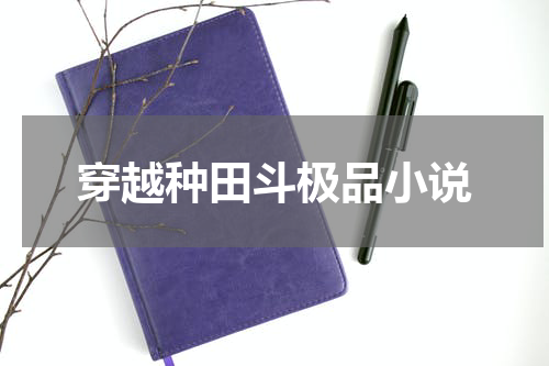 穿越种田斗极品小说