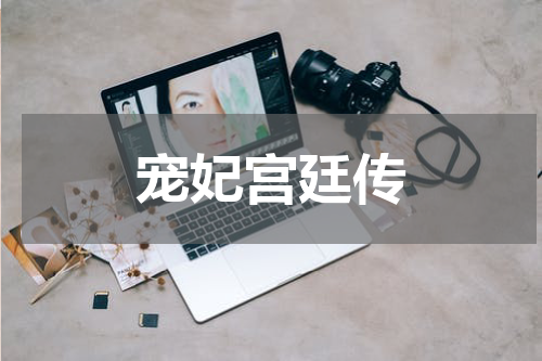宠妃宫廷传