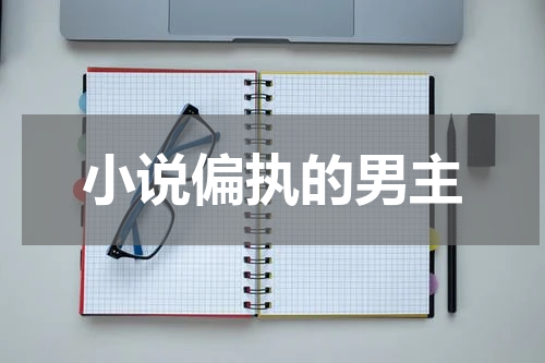 小说偏执的男主