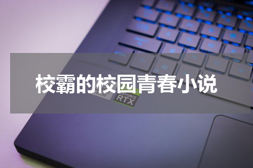 校霸的校园青春小说