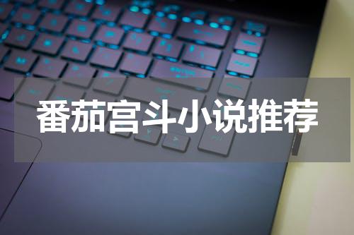 番茄宫斗小说推荐