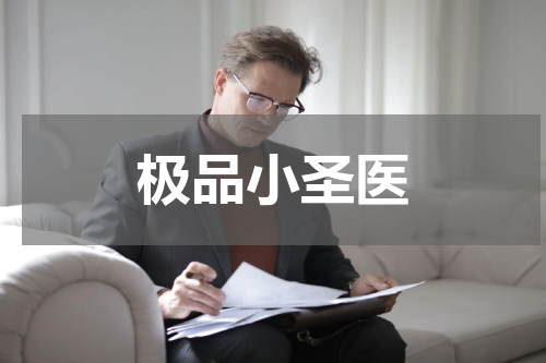 极品小圣医