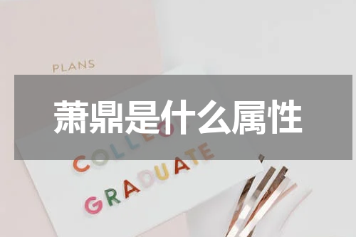 萧鼎是什么属性