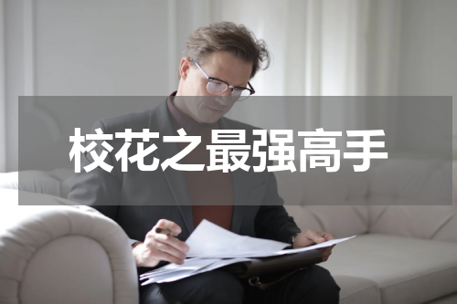 校花之最强高手
