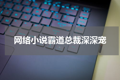 网络小说霸道总裁深深宠