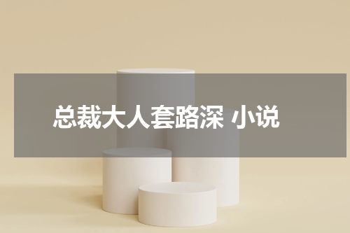总裁大人套路深 小说