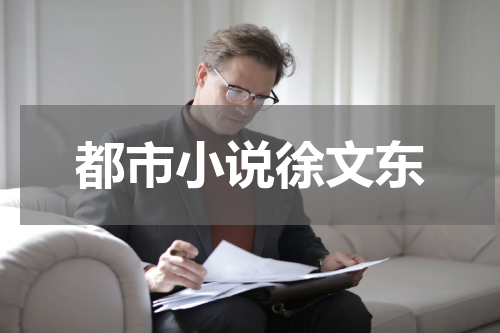 都市小说徐文东