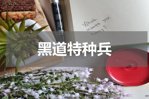 黑道特种兵