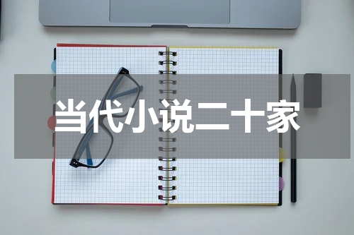 当代小说二十家