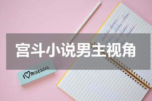 宫斗小说男主视角
