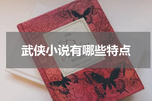 武侠小说有哪些特点