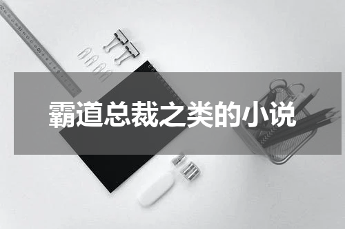 霸道总裁之类的小说