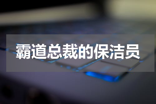 霸道总裁的保洁员