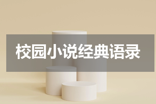 校园小说经典语录