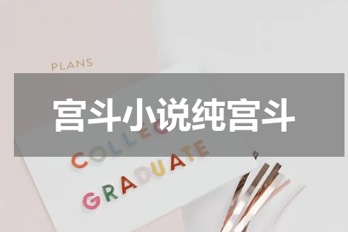 宫斗小说纯宫斗