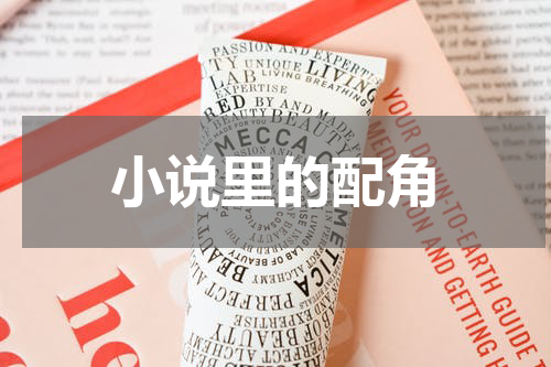 小说里的配角