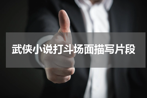 武侠小说打斗场面描写片段