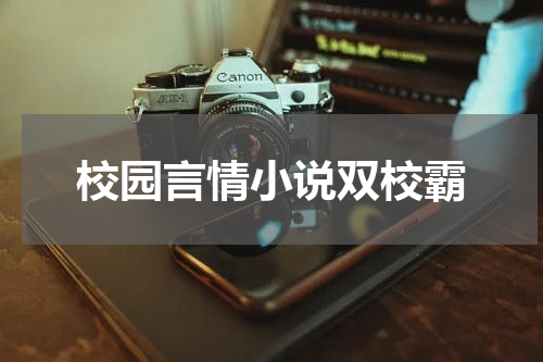 校园言情小说双校霸