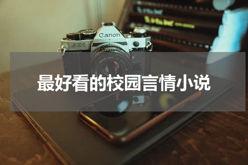 最好看的校园言情小说