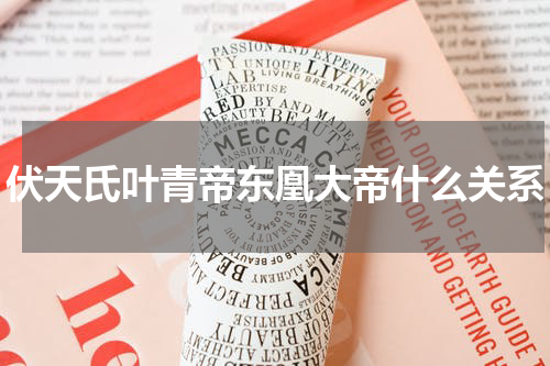 伏天氏叶青帝东凰大帝什么关系