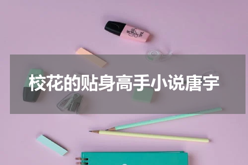 校花的贴身高手小说唐宇
