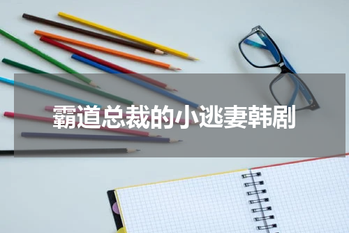 霸道总裁的小逃妻韩剧