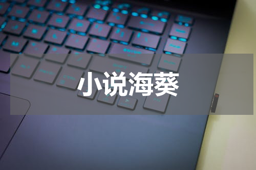 小说海葵