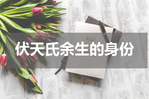 伏天氏余生的身份