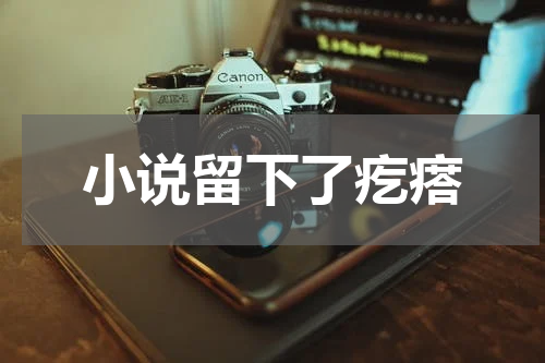 小说留下了疙瘩