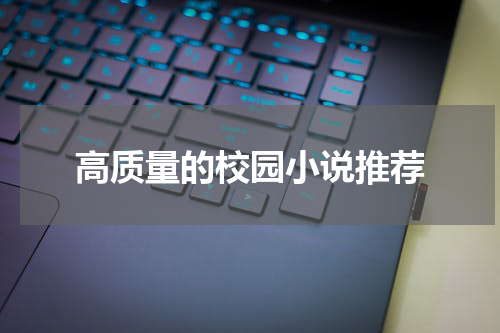 高质量的校园小说推荐