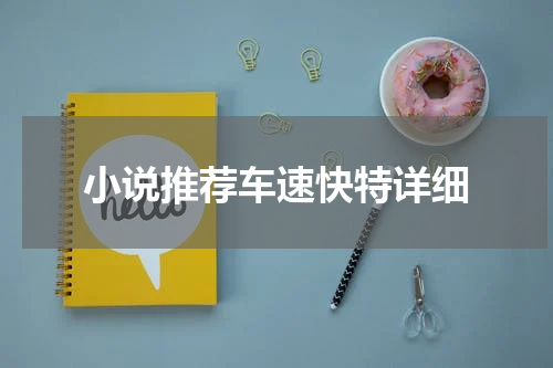 小说推荐车速快特详细