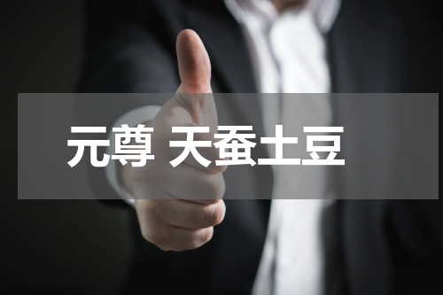 元尊 天蚕土豆