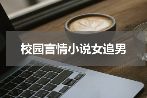 校园言情小说女追男