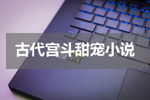 古代宫斗甜宠小说