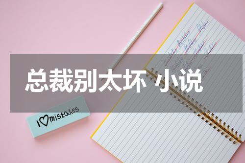 总裁别太坏 小说