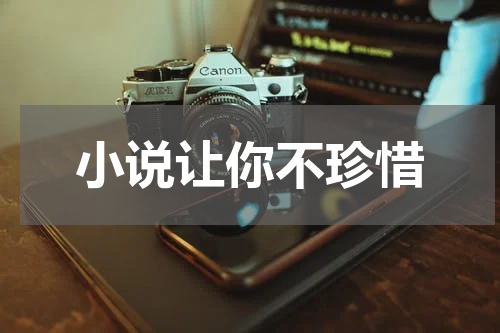 小说让你不珍惜