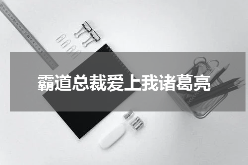 霸道总裁爱上我诸葛亮