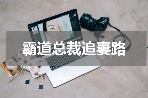 霸道总裁追妻路