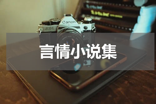 言情小说集
