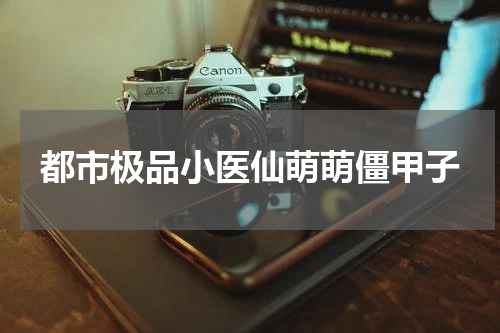 都市极品小医仙萌萌僵甲子