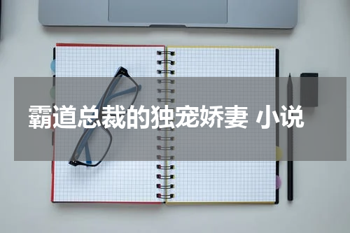霸道总裁的独宠娇妻 小说