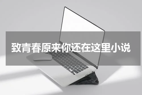 致青春原来你还在这里小说