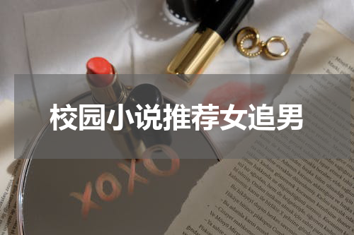 校园小说推荐女追男