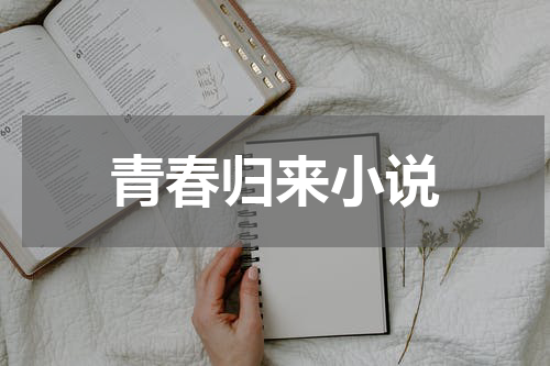 青春归来小说