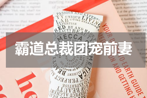 霸道总裁团宠前妻